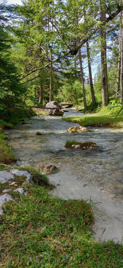 Haus Senn Apartment Seefeld in Tirol Ngoại thất bức ảnh